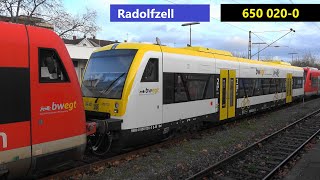 Radolfzell am Bodensee BR650 mit neuer Farbgebung im bwegt Design 🟨⬛⬜ [upl. by Yekcor]