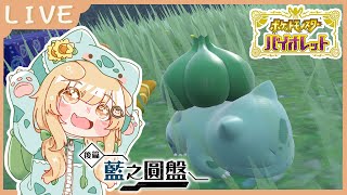 【寶可夢 零之秘寶 】繼續對戰四大天王！接著打冠軍✨ 6 [upl. by Inittirb765]