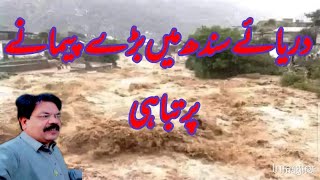 Sailaab ka khatrah darya e sindh m baani ka bahawo teaze [upl. by Teillo]