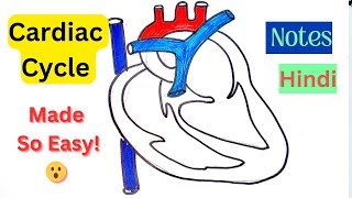 Cardiac Cycle  made SO EASY HINDI Systole Diastole Blood flow in Heart 🫀Notes [upl. by Rhiamon]