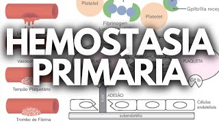 HEMOSTASIA PRIMÁRIA HEMATOLOGIA [upl. by Tony]