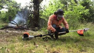 Stihl KM 131 R  Brushcutter Vs Pole Prunner  Part 1 [upl. by Anilek426]