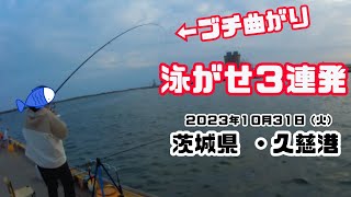 茨城県久慈漁港・サビキ＆泳がせ釣り【2023年10月31日】 [upl. by Demmahom878]