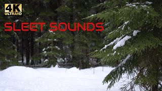 Sleet 💧💧💧 Freezing rain  Rain Sounds to Sleep  8 HOURS  Snow amp sleet sounds  Nature Sounds 4K [upl. by Nosliw]