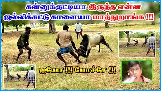 Jallikattu Training  ஜல்லிக்கட்டு காளையை இப்படிதான் பழக்குவாங்க  யாரும் அதிகம் பார்த்திராத வீடியோ [upl. by Madriene]