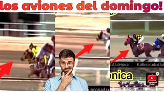 los más velocistas del Domingo algunos están para hacer la esprintada [upl. by Siroval]