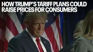 How Trumps tariff plans could raise prices for consumers [upl. by Ajnotal965]