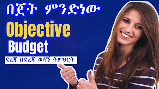 ስለበጀት ያለዎት መረዳት ምን ያህል ነው  በጀትን በደንብ ይረዱ በዚህ ቪዲዮ  objective of Budget step by step [upl. by Amerigo]