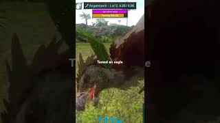 Argentavis taming no trap arksurvivalevolved dinosaur gaming [upl. by Waylin916]