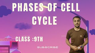 Phases of Cell Cycle in urdu  Hindi  Class 9th [upl. by Oswin933]