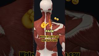 Relieve Neck and Shoulder Pain Levator Scapulae Release amp Strengthening [upl. by Pacorro92]