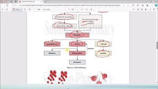 10 Glucose6Phosphate Dehydrogenase Deficiency  G6PD Deficiency Causes amp Symptoms  Biochemistry [upl. by Avuha]