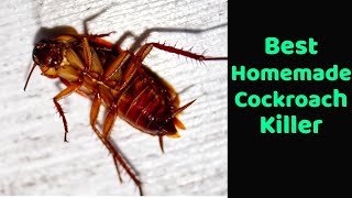 Homemade cockroach killer Goodbye to cockroaches with this homemade trick Get Rid Of Cockroaches [upl. by Acireed]