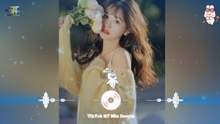 海闊天空 DJ抖音版 2024 Vast Sky amp Boundless Sea Remix TikTok  Hót Tiktok Douyin [upl. by Olympium430]