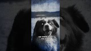 Les chiens n’ont pas d’âme [upl. by Musa]