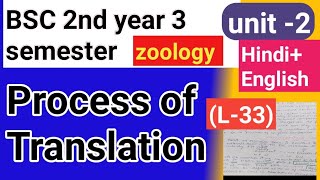 Bsc 2nd year 3semster zoology topic Process of translation [upl. by Hannis]