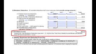 Self Represented Parties Information Series Filling Out and Filing a Financial Affidavit Short Form [upl. by Otrebtuc]