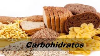 Experimento  Proteinas Carbohidratos y Lipidos  QUIMICA ORGANICA 11A [upl. by Eiramyma]