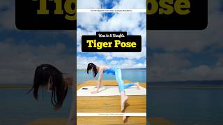 How to Practice Tiger Pose and What are its Benefits yoga yogawithadriene yogaforbeginners [upl. by Perretta665]