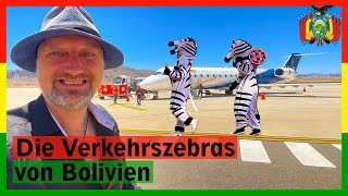 Die VerkehrsZebras von Bolivien  Auswandern nach Bolivien  SüdamerikaRundreise  Netzwerken [upl. by Lidda196]