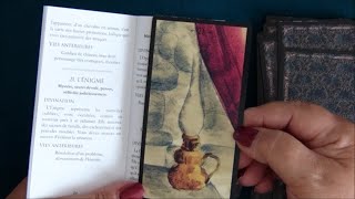 Tarot Oracle Présentation des cartes divinatoires dAlgariel  Mystérieuses à souhait 👍🌸 [upl. by Emorej58]