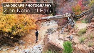 A Peaceful End  Zion Photography Trip [upl. by Hsekin378]