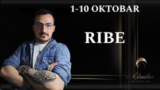 RIBE 1 10 Oktobar [upl. by Agathy]