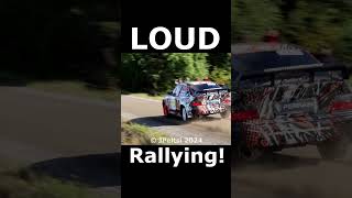 Loud Rallying bmw rally shorts [upl. by Kirwin]