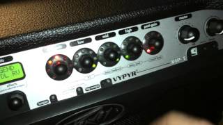 Peavey VIP3 Vypyr Show amp Tell [upl. by Osrit]