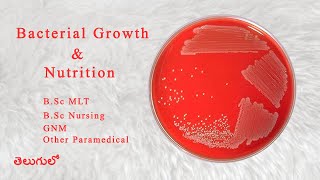 Bacterial Growth And Nutrition  Microbiology [upl. by Critta158]