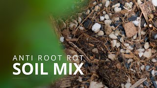 How to DIY Anti Root Rot Potting Mix 🧐  Aroid Mix [upl. by Naira]