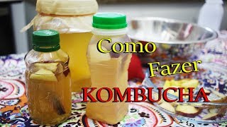 Como fazer kombucha em casa [upl. by Teresita]