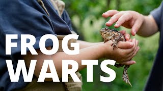 Warts Can Touching a Frog Toad or Their Pee Give You Warts [upl. by Panther569]