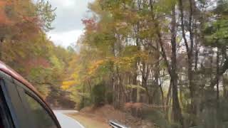 Russell Bypass to Brasstown Bald  October 27th 2024 [upl. by Asaeret899]