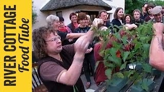 Hugh Eats Stinging Nettles  Hugh FearnleyWhittingstall [upl. by Undry137]