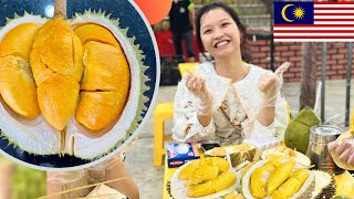 Top 5 Types of Durians in Malaysia 2024 Love It or Leave It [upl. by Tham300]