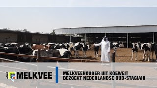 Melkveehouder uit Koeweit bezoekt Nederlandse oud stagiair [upl. by Leuamme]