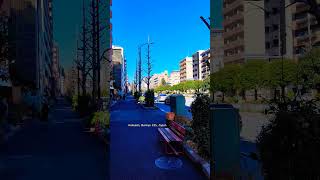 Peaceful community in Hakusan in the city of Bunkyo Tokyo tokyo japan city street travel fyp [upl. by Esiom]