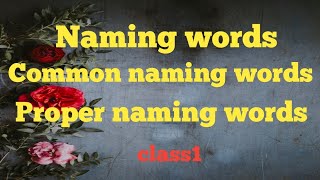 Naming wordsCommon naming wordsProper naming wordsEnglish grammarclass1 [upl. by Nnawaj]