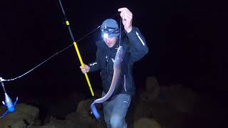 Conger eel fishing from cliffs [upl. by Egidio]