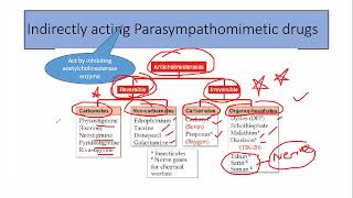 Parasympathomimetic drugs part 2 [upl. by Llebpmac]