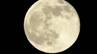 Heute Superzoom Panasonic Vollmond Kalender Wann ist der nächste Vollmond Freitag 15 November 2024 [upl. by Allicerp]