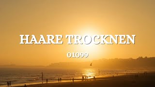 01099  Haare trocknen Lyrics [upl. by Yelsgnik616]