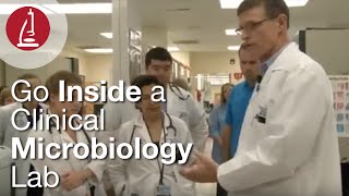 Go Inside a Clinical Microbiology Lab [upl. by Madeline]