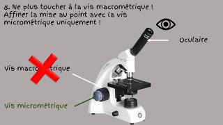 Comment utiliser un microscope [upl. by Ventre147]