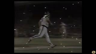 Greg Luzinskis Epic Rooftop Homerun 1984  Comiskey Park [upl. by Innos13]