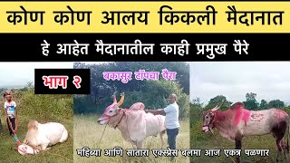 कोण कोण आलंय किकली वाई मैदानात भाग २  kikali wai maidan bailgada sharyat live बकासुर bakasur [upl. by Ardnuassac]