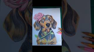 En de Teckel is klaar🌹 drawing creatief art honden tekenen hondartillustratorkunst [upl. by Ellevel]