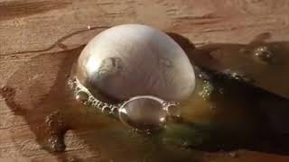 COOL Watch soap bubbles freeze in real time  ABC15 Digital [upl. by Elhsa804]