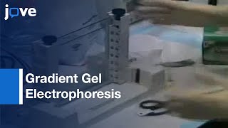 Denaturing Gradient Gel Electrophoresis DGGE l Protocol Preview [upl. by Crystie]